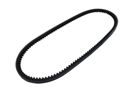 Continental Alternator Belt